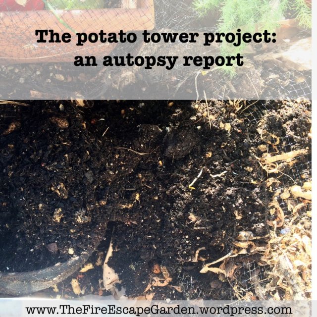 potato_tower_post_cover